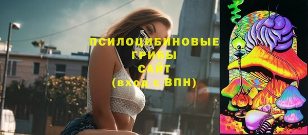 мяу мяу мука Куйбышев