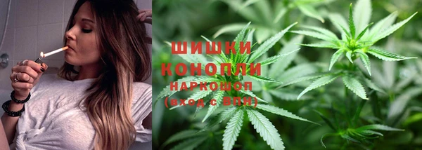 стаф Кулебаки