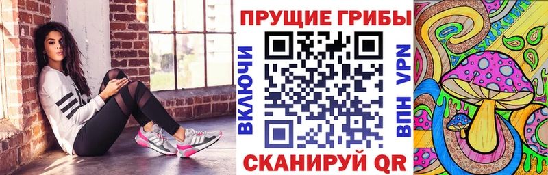 купить закладку  Фокино  Галлюциногенные грибы Psilocybe 