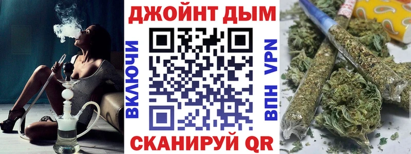 Конопля сатива  магазин продажи наркотиков  Фокино 